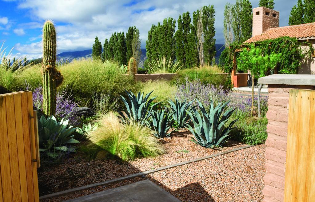 Adobe Charm Villa Cafayate Ngoại thất bức ảnh