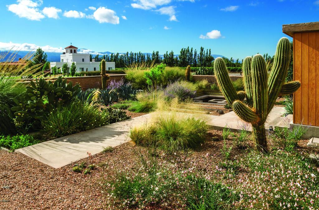 Adobe Charm Villa Cafayate Ngoại thất bức ảnh